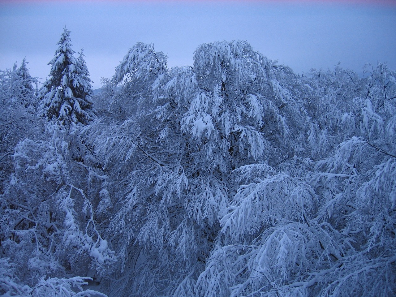 湖北未來幾天雪情探討